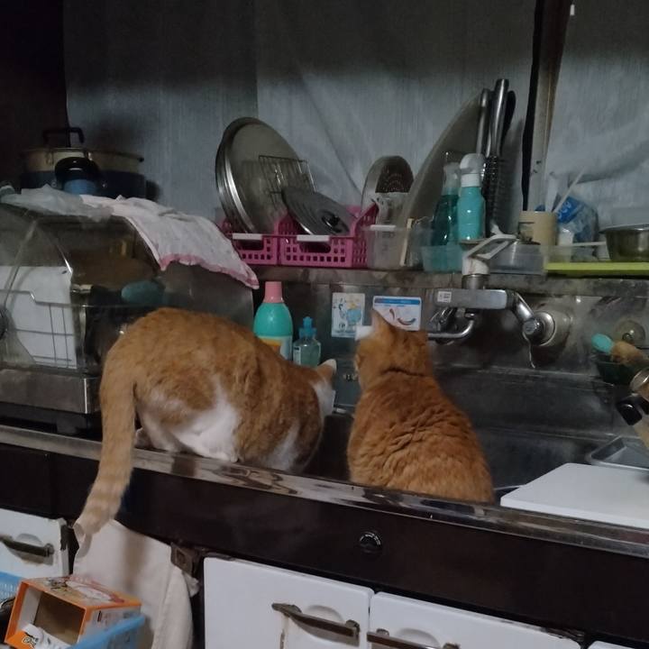 32cf2f7b 0789 42ec 8ccd 65fbf62e70a1 1764389962251