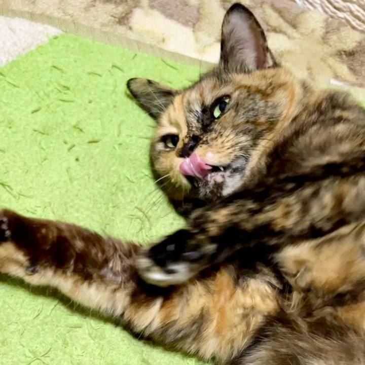 32cf413a 04f5 42bf 8078 ae34b4bdd608 1736041733084