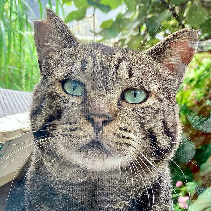 32cf5349 705c 46ba 88e7 a04f525a32ef 1663022126185