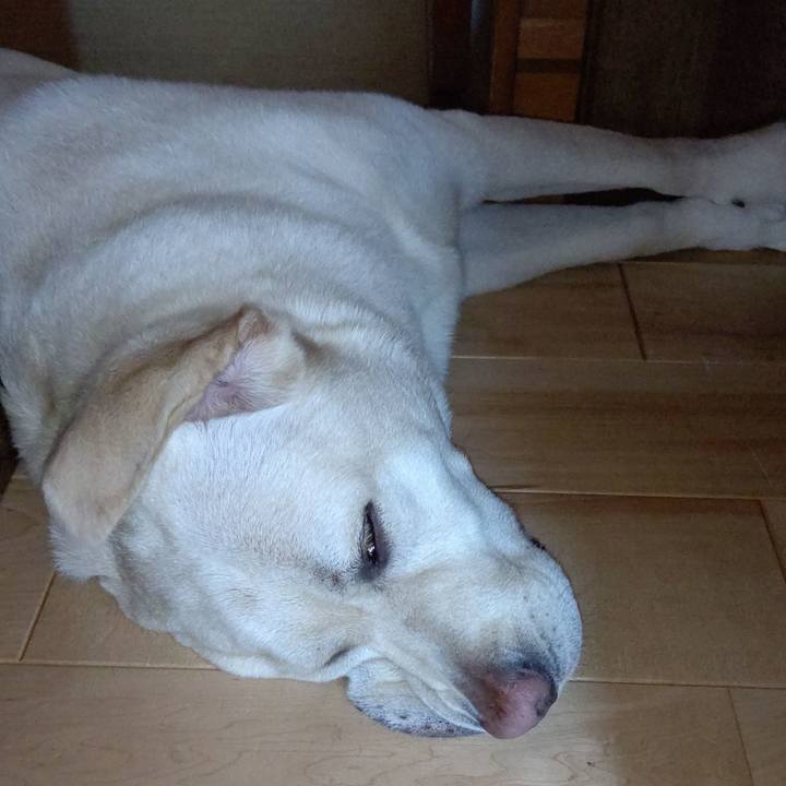 32cf91a6 db09 4838 a441 9381165e2412 1592110890640