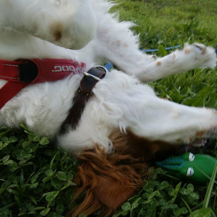 32cfa884 d1bf 4815 ae4e 938b830772e0 1527325417181