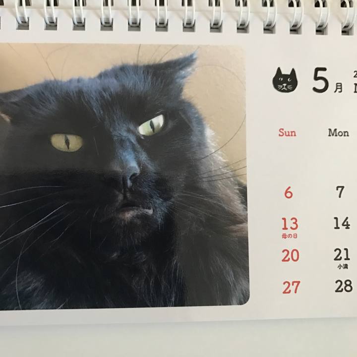 32cfcd88 db22 43ac 8df8 c442886d42ba 1513995621477