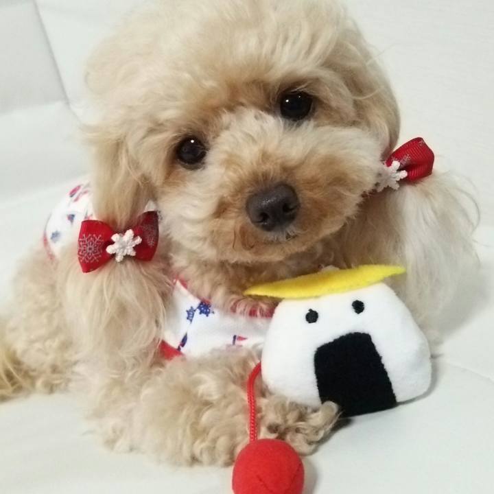 32cfd108 bcf1 4234 bbe0 d827edc76d3e 1528198810997