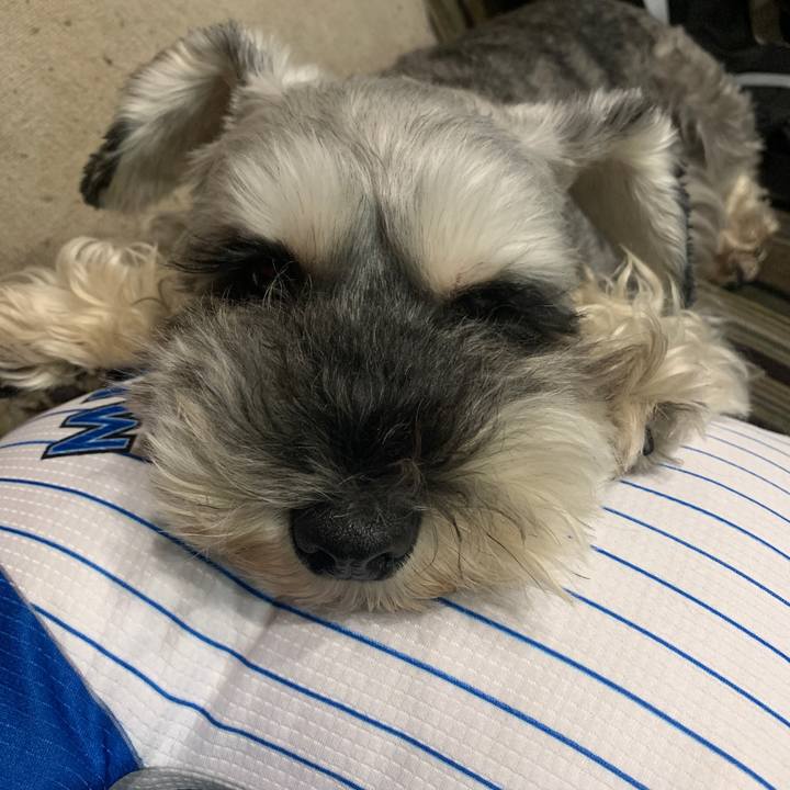 32cff328 ddf1 4cae ac16 0b950586bf27 1599565714885