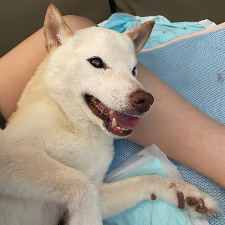 32d00c5a 2494 4af0 80de bea49b4def22 1665888369375