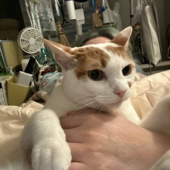 32d08b8f f82f 4682 94bb 0dcbfb1174cf 1765849882779