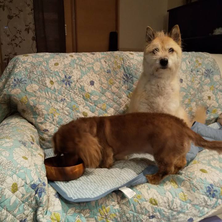 32d0a705 a5f7 4df0 a243 eada7998e14d 1562497851017