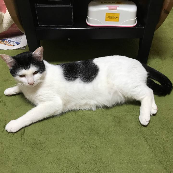 32d0a794 7dd5 4f8d b4d1 3ec2b545affa 1523375661343