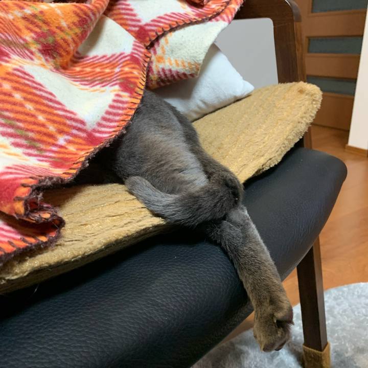 32d0afc0 298c 4014 ac89 39a189c21894 1613478798388