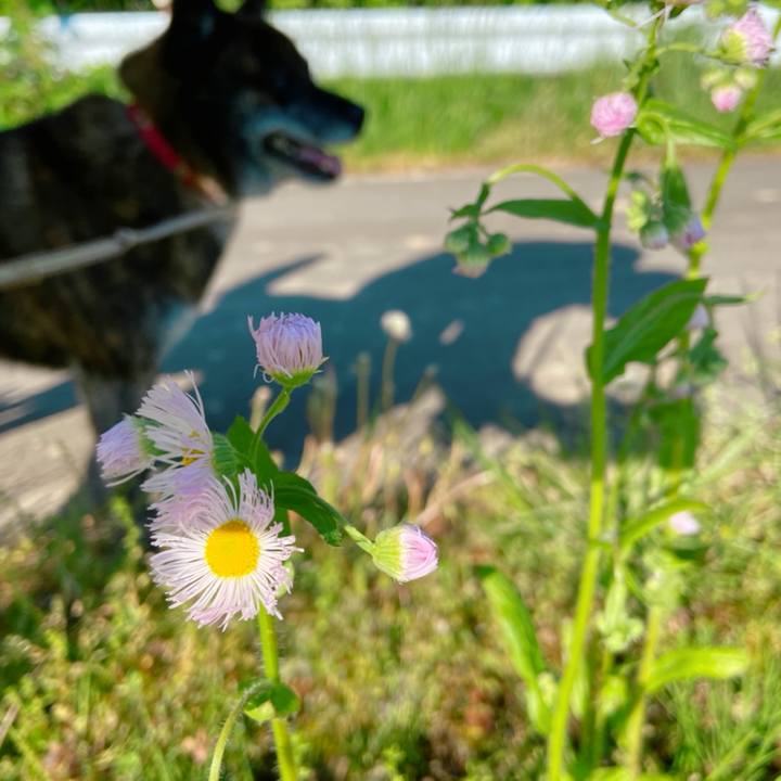 32d0bf3d c1a7 4fc6 9b9f e5da68e8cea7 1589408573027