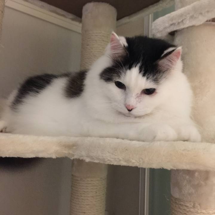 32d0d82b bc26 4364 aae6 7b6d91a3a5c9 1529582796446