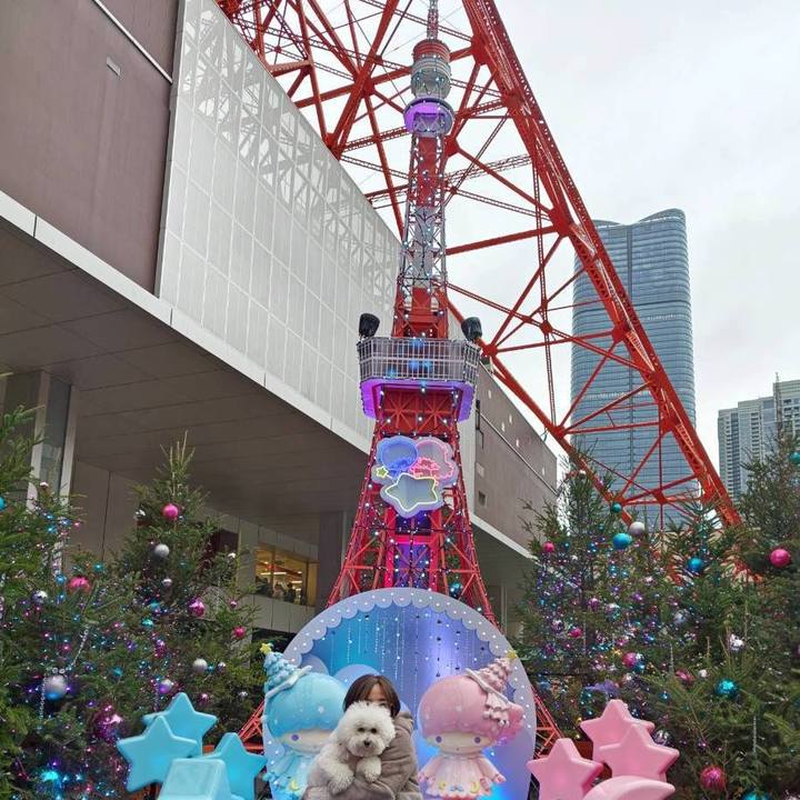 32d11905 5b13 4e9b a926 105e4cb0a0e5 1765696905461