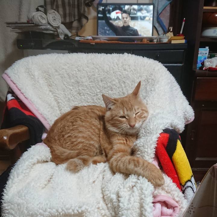 32d13a04 daf5 4db3 a473 f802dfda9dab 1636715122954