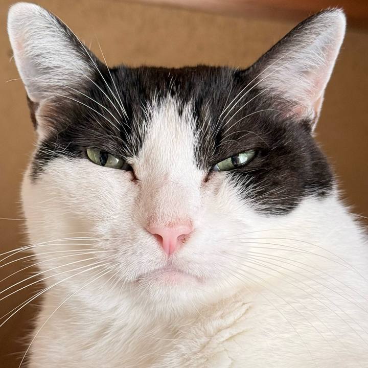 32d17445 456f 4b0f 85bb 7452daa9d859 1759197007602