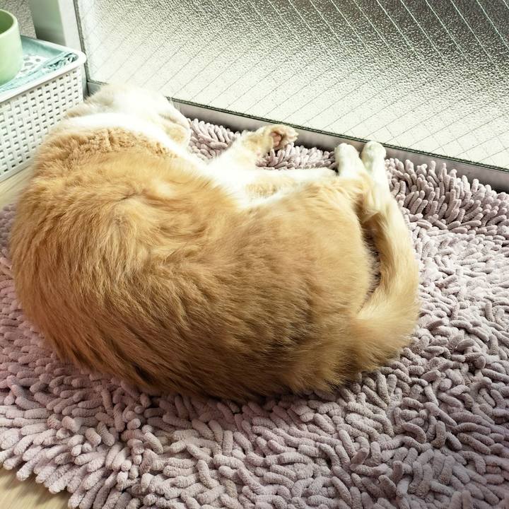 32d19163 4305 4789 ae92 041286fe2e32 1677373918393