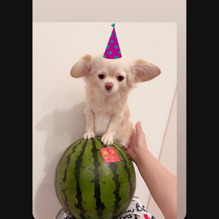 32d1ce02 16c3 4fed 8850 34002a639edb 1719235929513