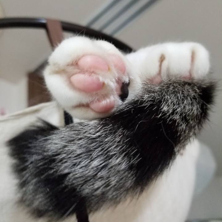 32d28db7 9a91 4deb 9a80 e30806577115 1621774302789