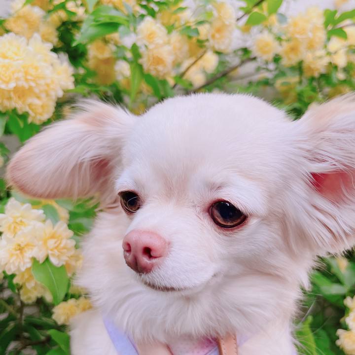 32d2ad72 8aa5 485c acbd e1f57b6945d4 1681806179738