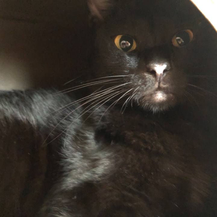 32d2e3a5 dd9b 4d38 8fd9 a8c61c54469f 1661245448382