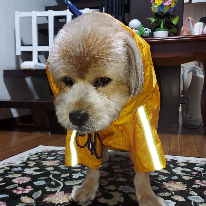 32d2f7c0 8043 4d78 b7ff 1a09292a2595 1628847725420