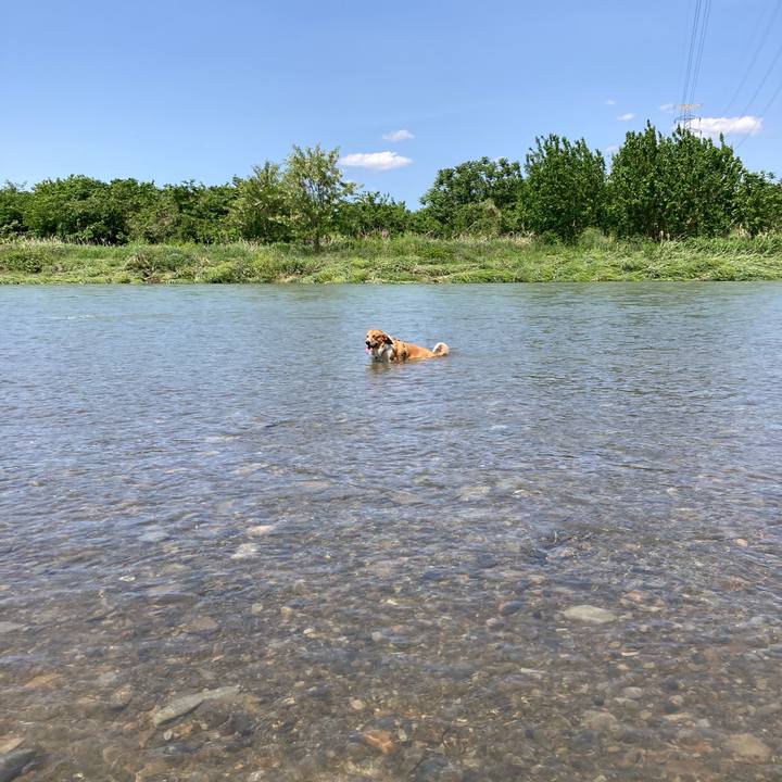 32d3285c 118b 45d4 bb4d 349802a3b069 1746246014595