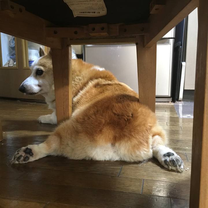 32d33328 b62e 455f 8c54 d0d7d240233a 1542687153696