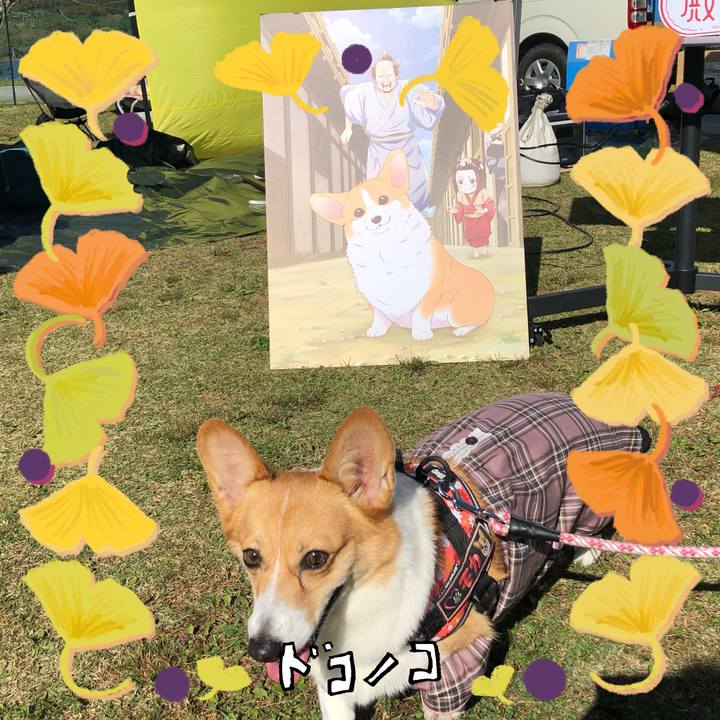 32d35edf ade0 46cd a2f7 e9c4ad72b1ad 1731234465331