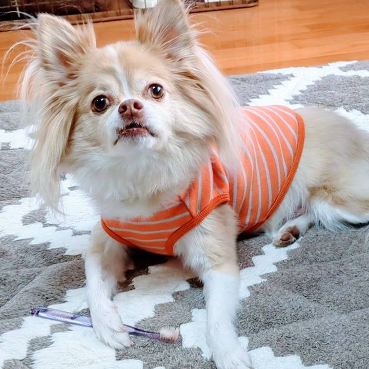 32d3a0b7 7d76 42b5 9c98 2aff95703818 1764127889211