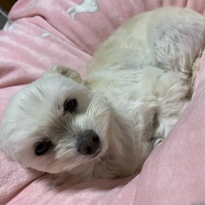 32d3b8f3 0ee3 475f b719 28ccc975426c 1639394112105