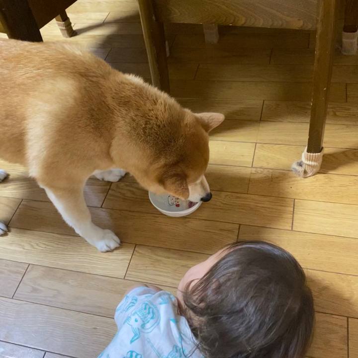 32d3c8fa c56c 4fd7 8519 12fdc8ae7d6b 1593667061290