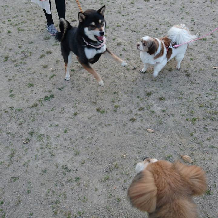 32d3d01e 1020 4b0a be0c 9381ef45abd5 1522750526069