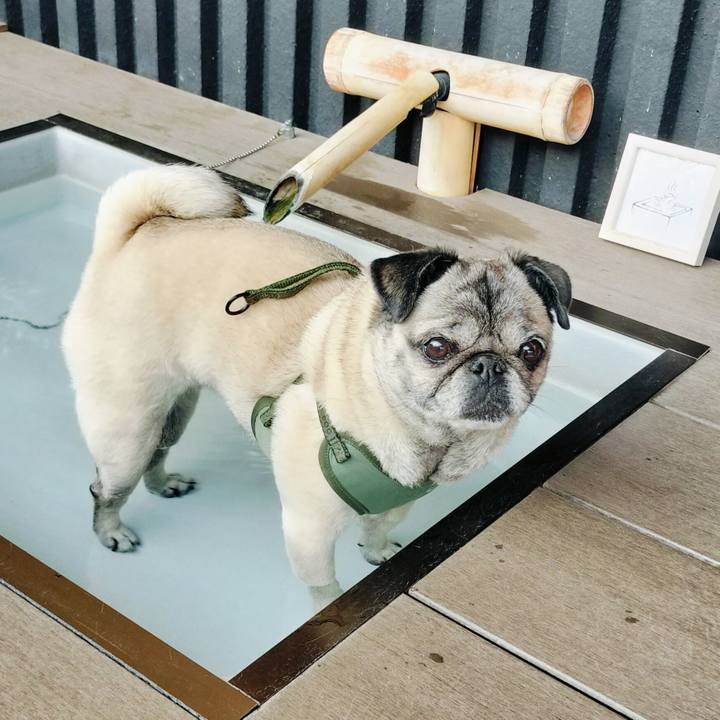 32d42a6d 08e2 4254 a08b 5ed38a371852 1775464726922