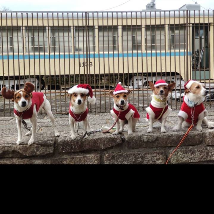 32d42f06 cc8a 45b4 8bc2 b7e9671c671f 1765613298848