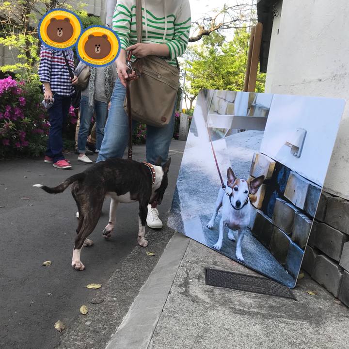 32d454f1 2ea7 4ba2 8305 0c373bcd86c9 1524319799408