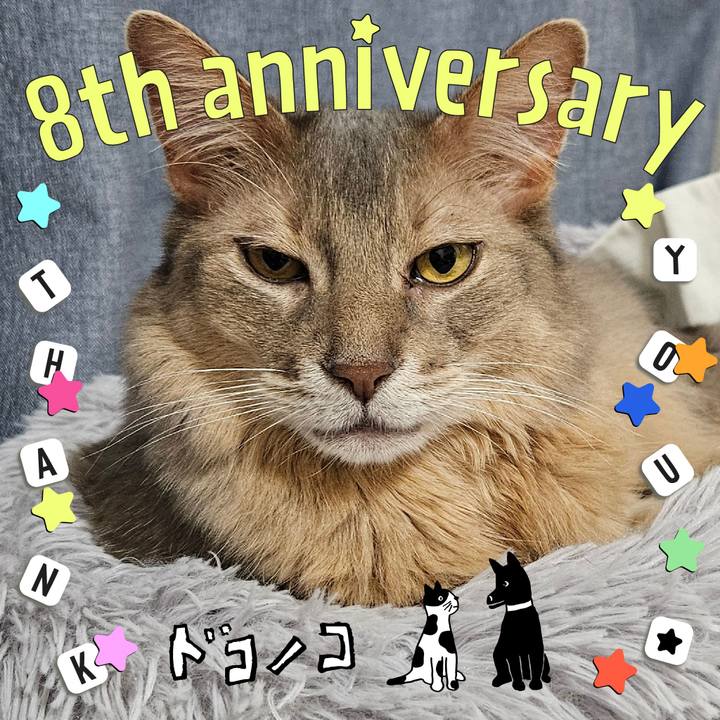 32d45a18 e52c 4b73 8624 b8e17a9aae9f 1717570068666