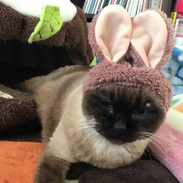 32d4619e f3e2 4fa7 bfad 12073f7e36b7 1585280543713