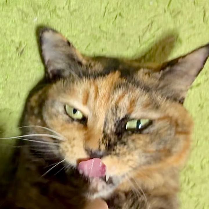 32d49b48 c570 4572 8ab6 6f435ebf0edd 1767471884614