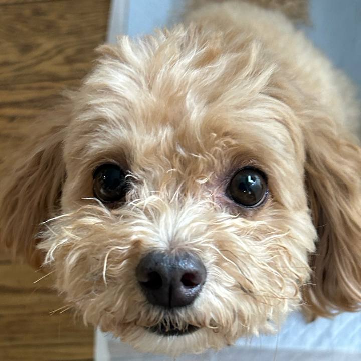 32d54aa3 e169 4876 bcc6 482d46202c28 1749335663270