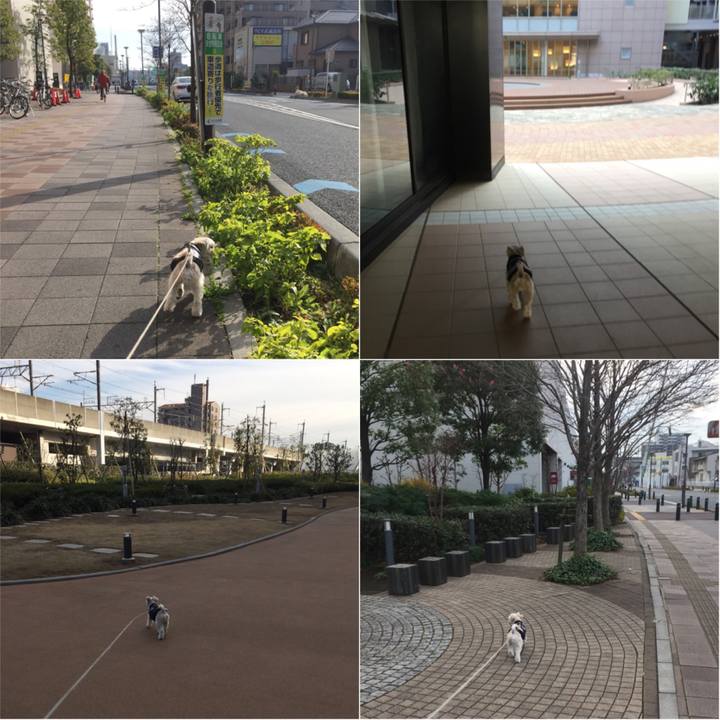 32d56587 3286 4eb4 bfe0 933069417b7b 1545812433357