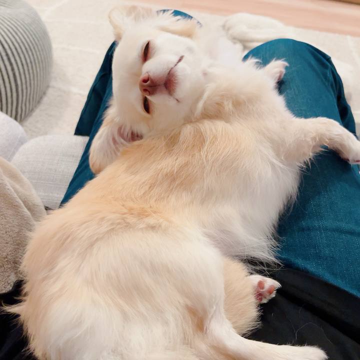 32d5b663 c920 43ae b838 b9c3b049d6a1 1716980585258