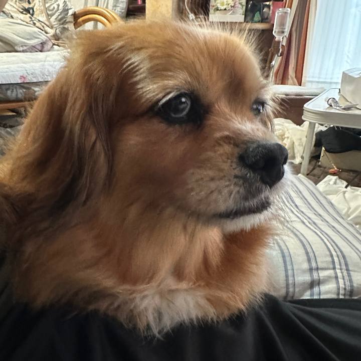 32d5bf19 ba3e 4ce6 a65d dabbb5991392 1747861943363