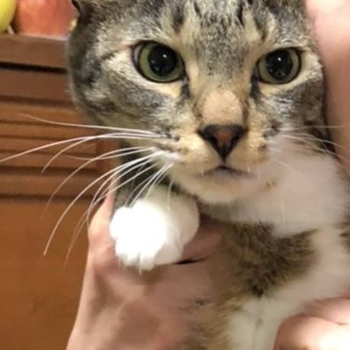 32d5c8f3 5abe 4a14 be6d ebf526de3f84 1624978174078