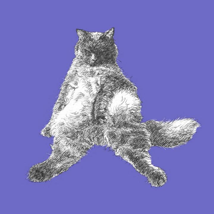 32d5ec8e 341b 473e b998 0df3b22ece8f 1566396844241