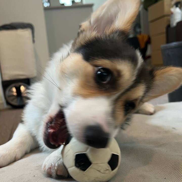 32d5ee2d e07a 49ea 8cdb 2b81b2397a6c 1773751384832