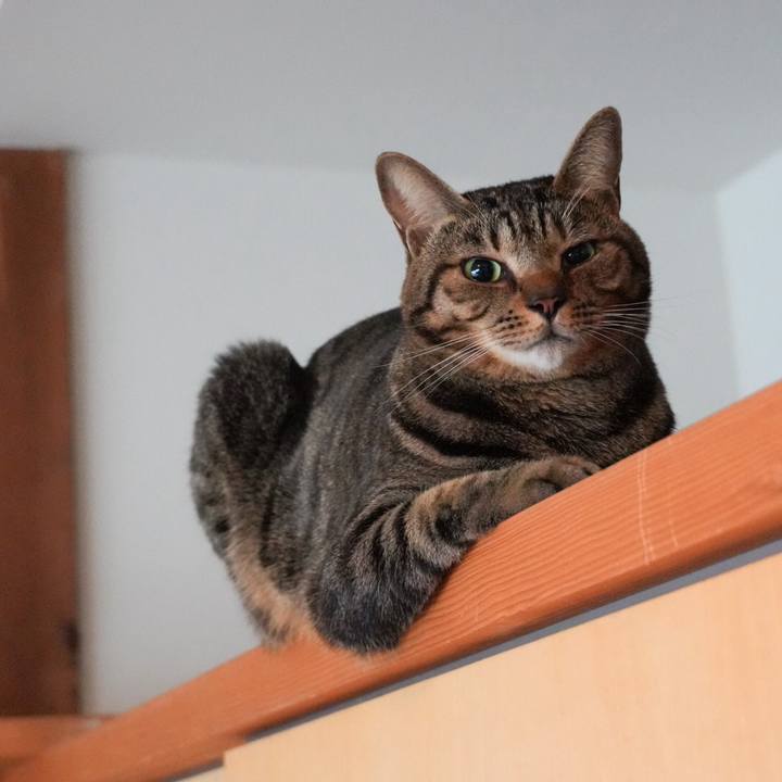 32d602ff b1e7 4420 a13c 146c6acf114d 1733960017241