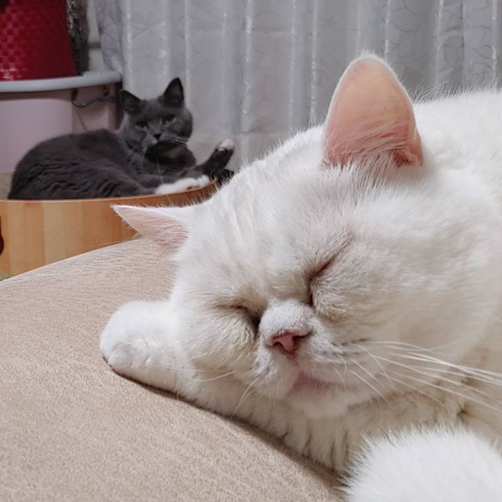 32d60fe1 dcfb 4369 bc7b 0459fc1a04ff 1655548063996