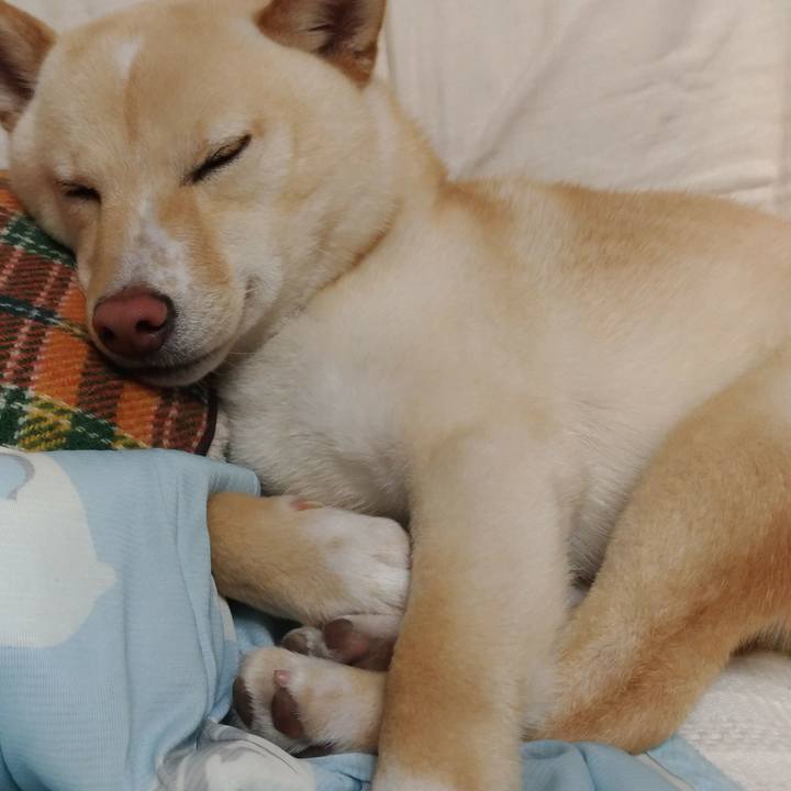 32d618df 222e 4085 8a90 2fc4adec68f0 1522841736116