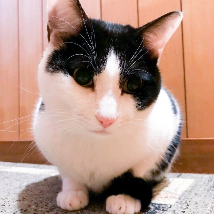 32d63bbb f522 4e28 8ad6 3be0a11e1fee 1514948337959