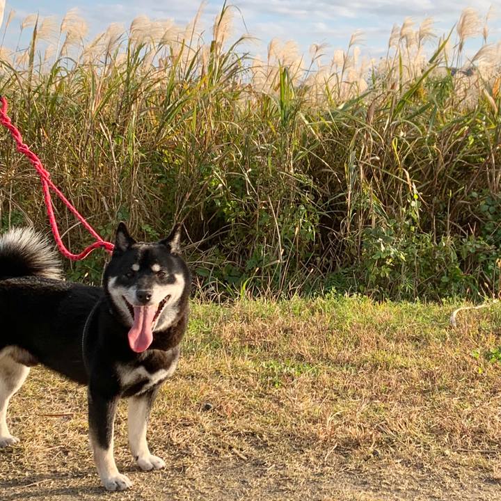 32d675f6 aa1c 4349 84e6 27dc3df46cf0 1636198019355