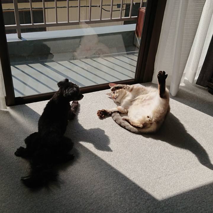 32d69340 8592 4bb0 8bc0 1cb3725df7bd 1523166068603